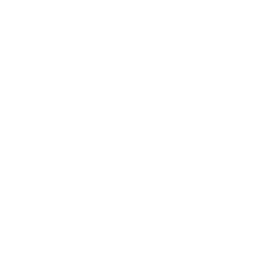 Logo NB Motion Shots